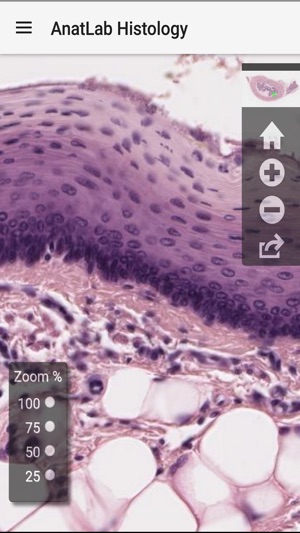 AnatLab Histology(圖2)-速報App