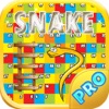 Classic Snake and Ladder Game