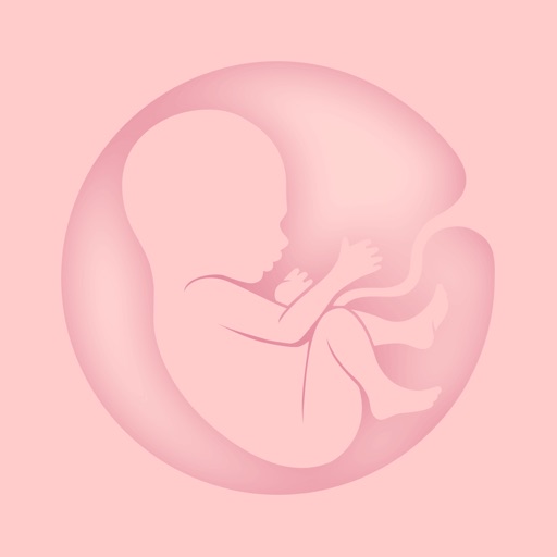 Day Day Baby - Pregnancy App Icon