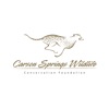 Carson Springs