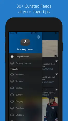 Game screenshot Hockey News in Real Time apk