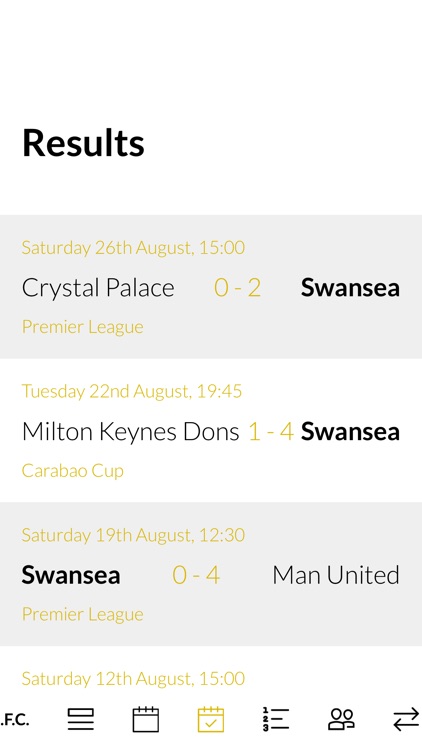 Team Swansea City