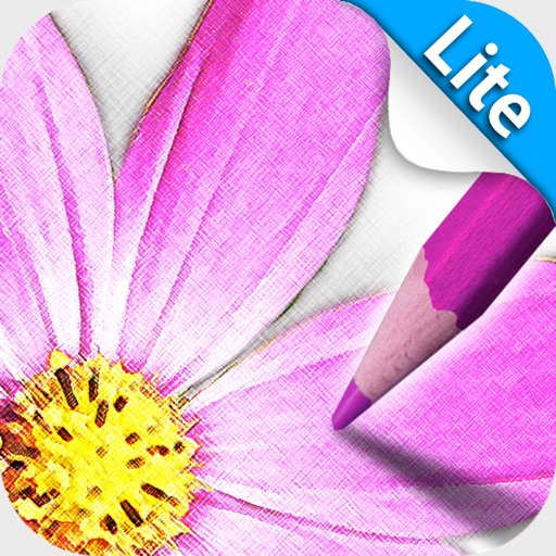 Sketch Agent Lite