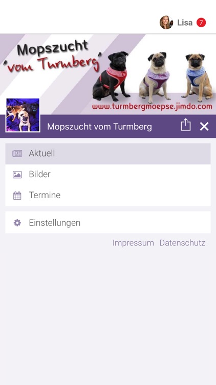 Mopszucht vom Turmberg