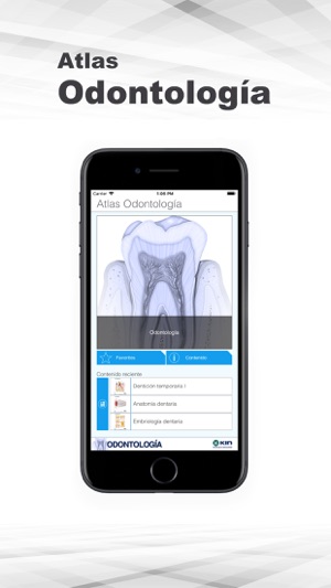 Atlas Odontología(圖2)-速報App