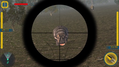 Safari Animal Hunting Mission screenshot 3