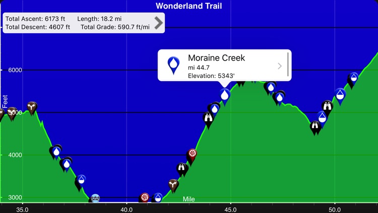 Wonderland Trail by Tami Asars