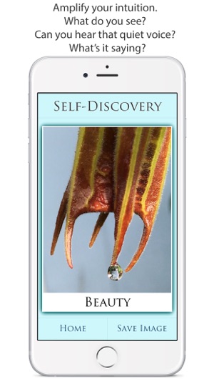 Self-Discovery(圖2)-速報App