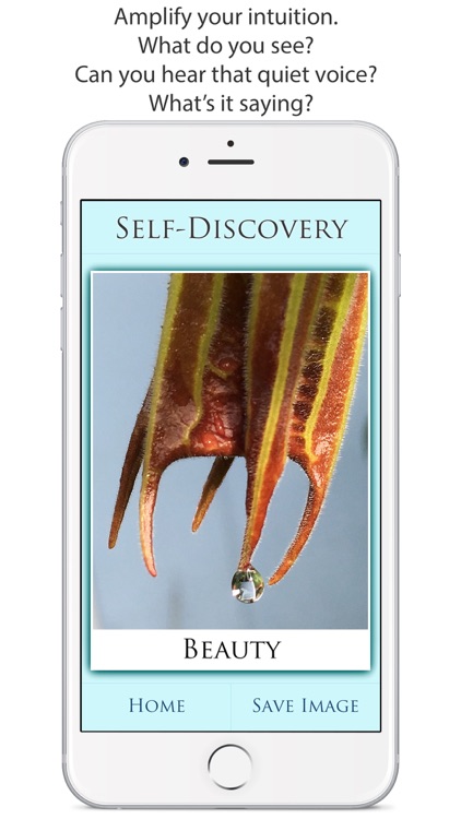 Self-Discovery