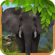 Activities of Extreme Elephant Simulator 3D