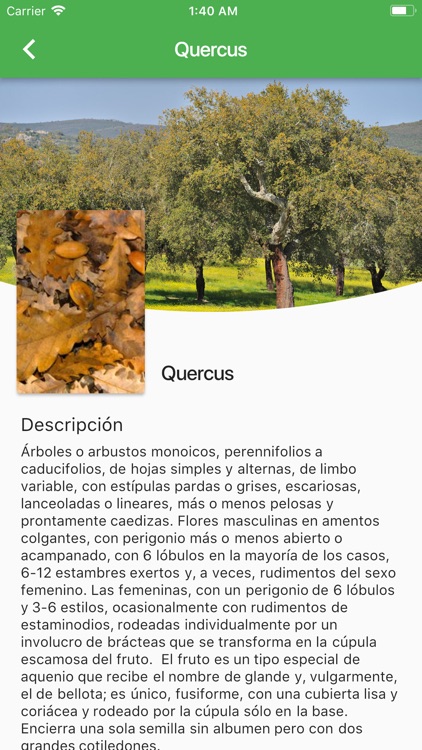 Arboles Ibericos screenshot-5