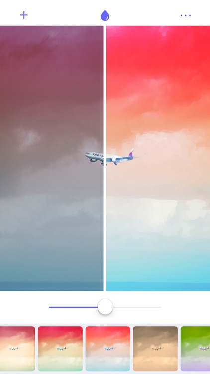 Analog Film Canvas - Designs