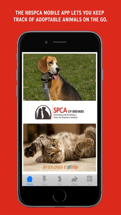 NBSPCA