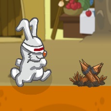 Activities of Desert Bunny