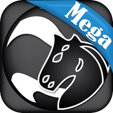 Activities of Mega - Encyclopedia of Opening