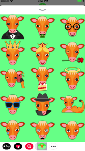 Tangerine Cow