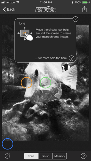 Monokrom B&W Photo Editor(圖3)-速報App