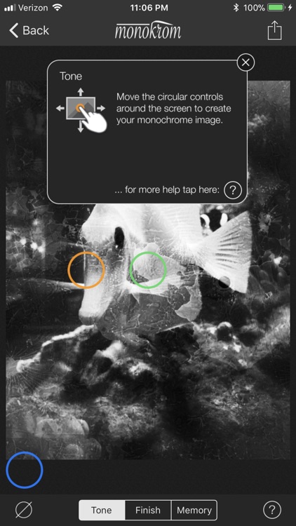 Monokrom B&W Photo Editor