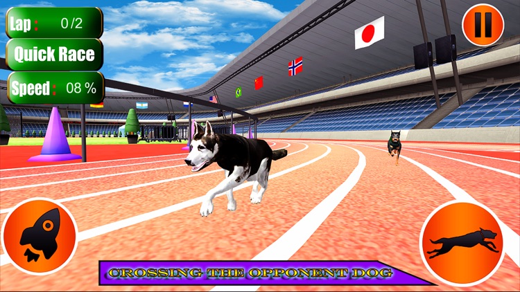 Dog Racer Simulation 2017 screenshot-3
