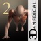 iMUSCLE 2 IS A HIGHLY VISUAL, 3D-BASED, AWARD WINNING HEALTH AND FITNESS APP THAT HAS EVERYTHING YOU NEED TO PLAN AND TRACK YOUR FITNESS PROGRAM