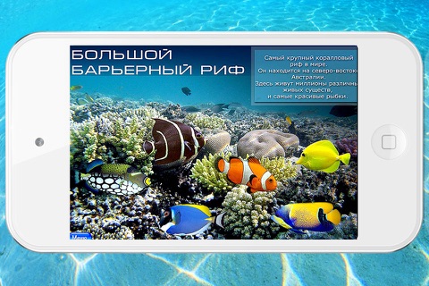 Ocean: encyclopedia of the sea animals screenshot 3