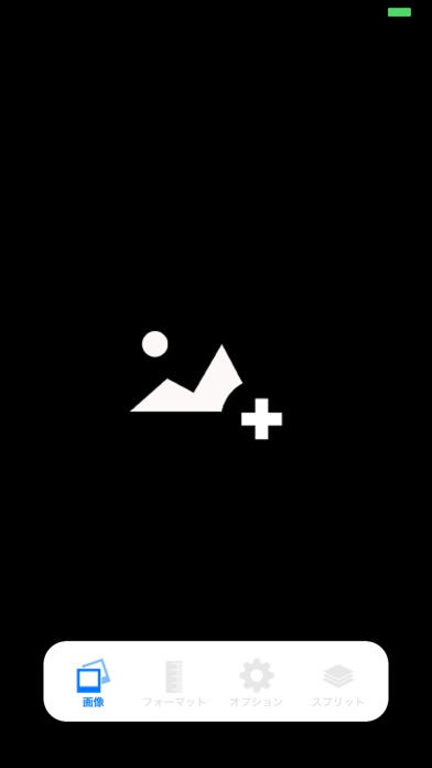 ss1