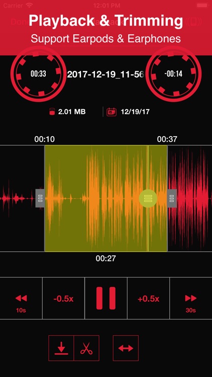 Recorder App Pro