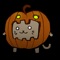 Enjoy Halloween all year long with PumpkyBooh a