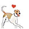 Whippet Dog - DogSport Sticker