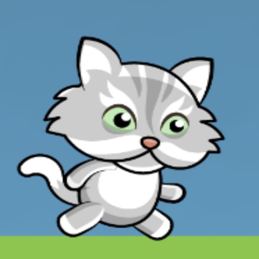 Angry Cat Run icon