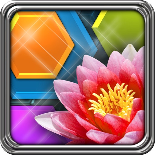 HexLogic - Flowers iOS App