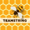 TeamString