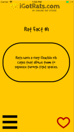 Rat Facts(圖2)-速報App