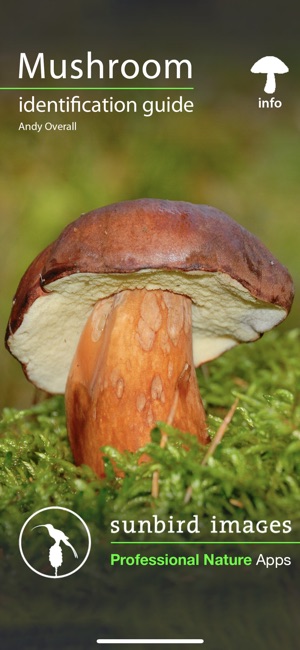 Mushroom Guide British Isles