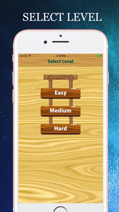 Anagram - Word Puzzle screenshot 2