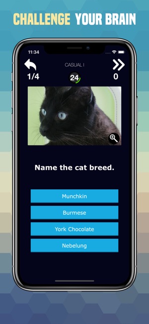 Cats Trivia - Cute Images Quiz