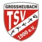 Jetzt gibt es die Volleyballabteilung des TSV Großheubach auch in einer offiziellen App