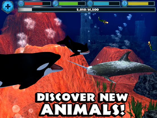 Игра Orca Simulator