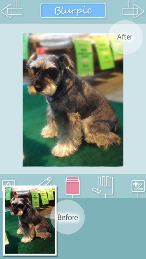 Blurpic - for your memory -(圖3)-速報App