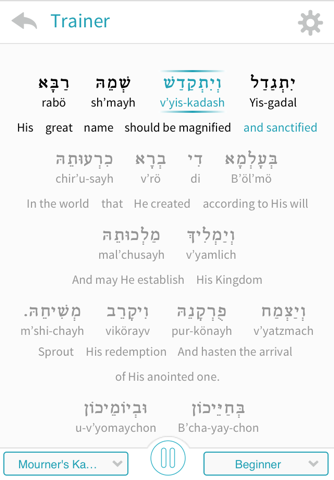 Kaddish Assistant - náhled