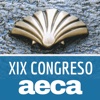 XIX Congreso AECA 2017