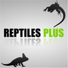 Reptiles Plus