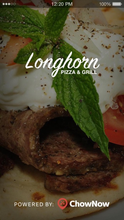 Longhorn Pizza & Grill