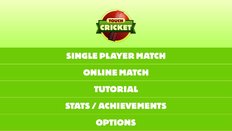 Touch Cricket