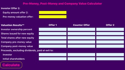 Company Valuation Calculator screenshot 2