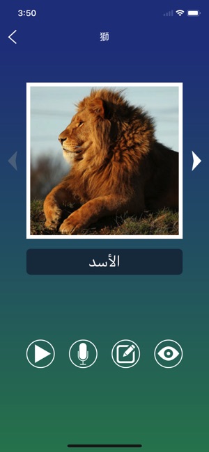 阿拉伯語單詞卡學習(圖4)-速報App