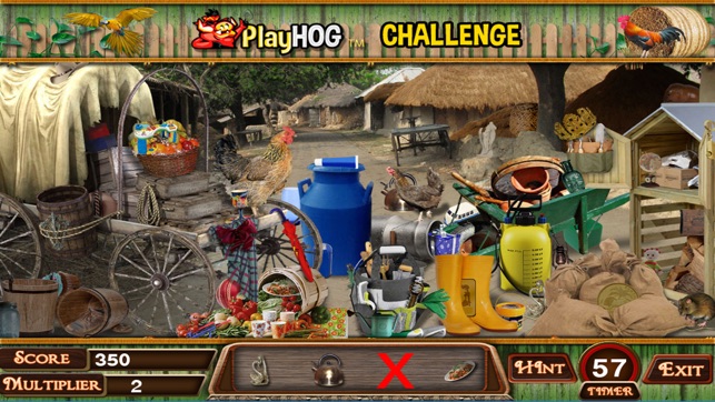 Village Tour Hidden Objects