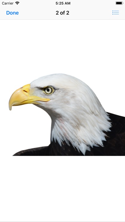 Exquisite Eagle Stickers screenshot-3