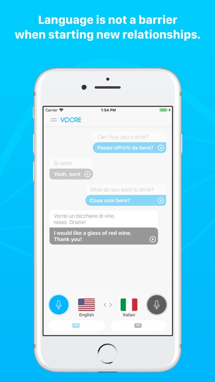Voice Translator & Dictionary