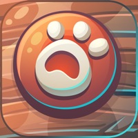 The Adventure Of Fox